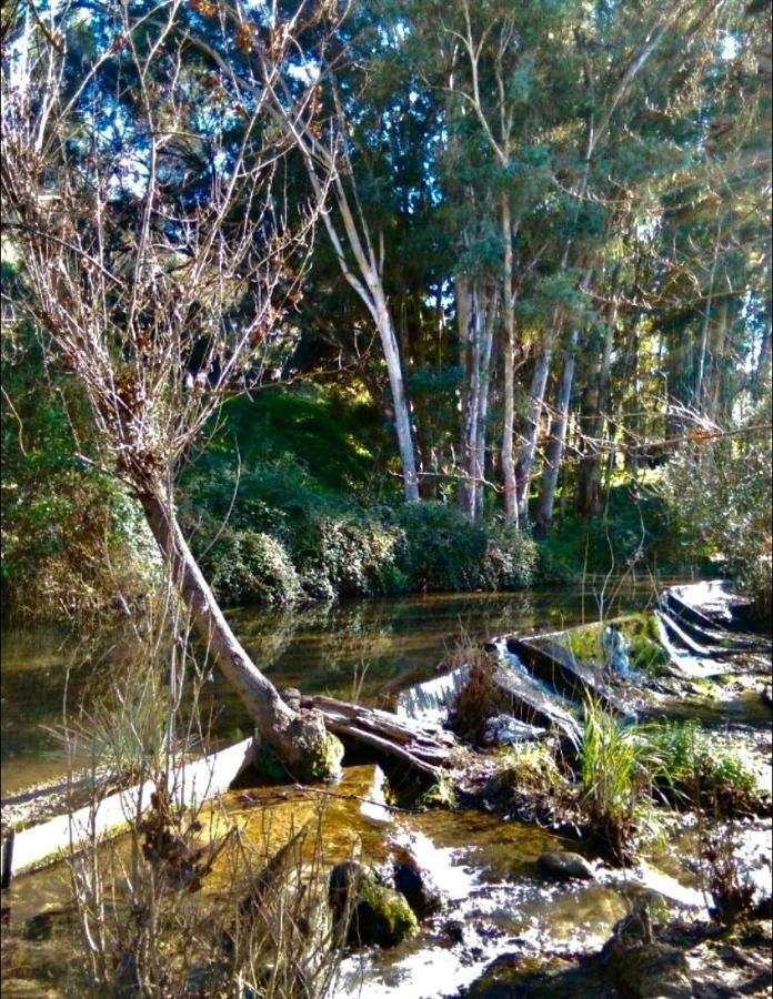 La Buhardilla De Torrecillas El Bosque Dış mekan fotoğraf