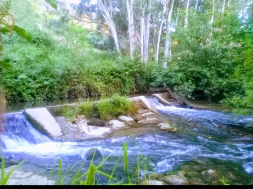 La Buhardilla De Torrecillas El Bosque Dış mekan fotoğraf